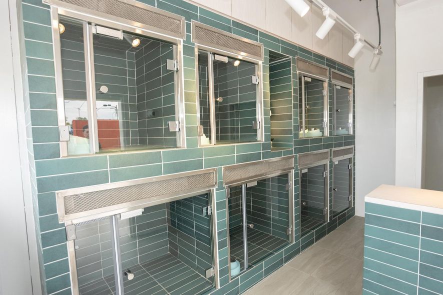 獨立海景寵物室