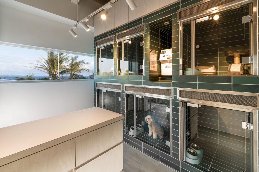 獨立海景寵物室