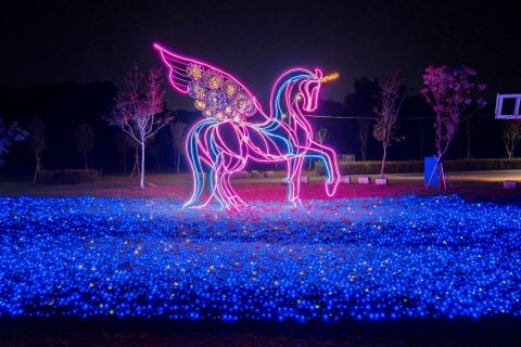 2026 屏東燈節🌟